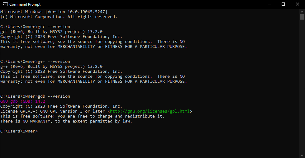 successful version output